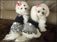 �̂�����񁕂�񂿂��