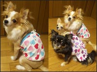 �����N����񂿂�񁕂邫�������