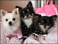 �͂Ȃ���񁕃����N���}���������