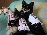 �͂Ȃ���񁕃}��������񁕃����N