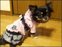 �邫�������