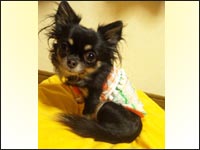 �邫�������