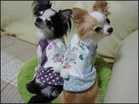 �r�r�N���ɂ��N