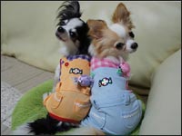 �r�r�N���ɂ��N