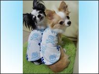 �r�r�N���ɂ��N