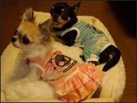 �~���g����񁕃A�����N