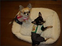 �~���g����񁕃A�����N