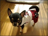 �A�����N