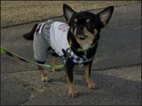 �A�����N