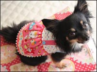 A�l�u���^�������