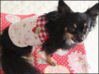 A�l�u���^�������