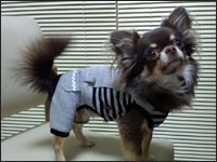 �`�����N