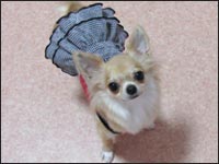 �`�R�����