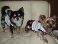 �Ց��Y�N���V���R���N