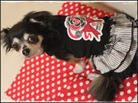 ����񂿂��