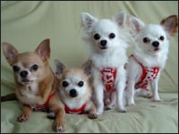 ���P����񁕋юl�N�N�����N�N�����P�����