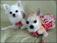 ���N�N���юl�N�N