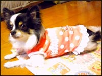 �������񂿂��