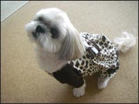 ����݂����