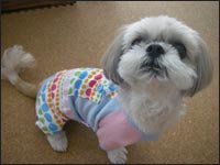 ����݂����