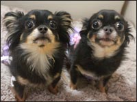 �}��������񁕃��L�A�����