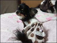 �}���������