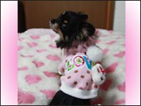 �}���������