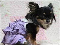 �}���������