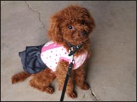 ��˂����