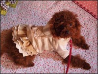 ��˂����