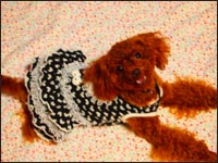 ��˂����