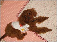 ��˂����