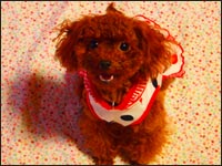 ��˂����