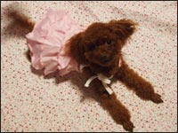 ��˂����