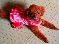 ��˂����