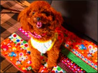 ��˂����