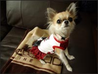 �~���g�����