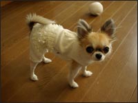 �~���g�����