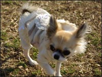 �~���g�����