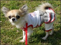 �~���g�����