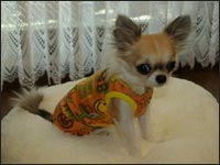 �~���g�����