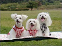 MOCA�����MELL�����SORA�N