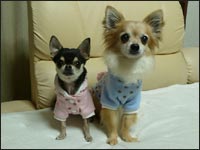 �o�j������񁕃~���E�N