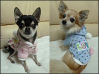 �o�j������񁕃~���E�N