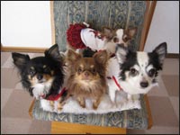 �Ȃ�����񁕂ЂȂ���񁕃m�G������񁕂��肷�����