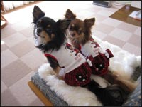 �Ȃ�����񁕂ЂȂ����