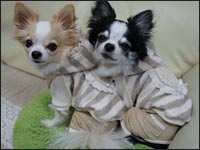 �ɂ��N���r�r�N