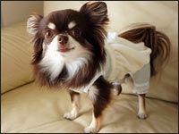 �̂�̂����