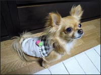 �|�R�����