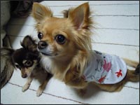 �|�R�����